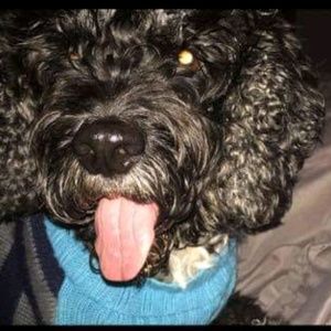 Meet your Posher, Bethany